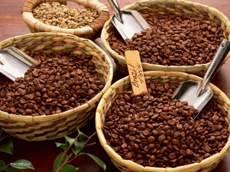 Dự kiến xuất khẩu cà phê của Việt Nam tăng trong tháng 12
